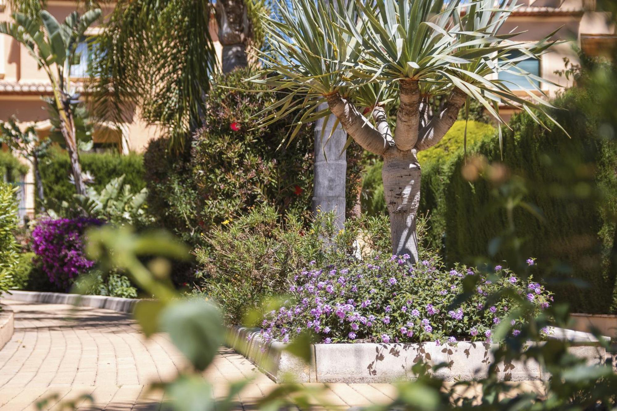 Apartament Floridamar Jávea Zewnętrze zdjęcie