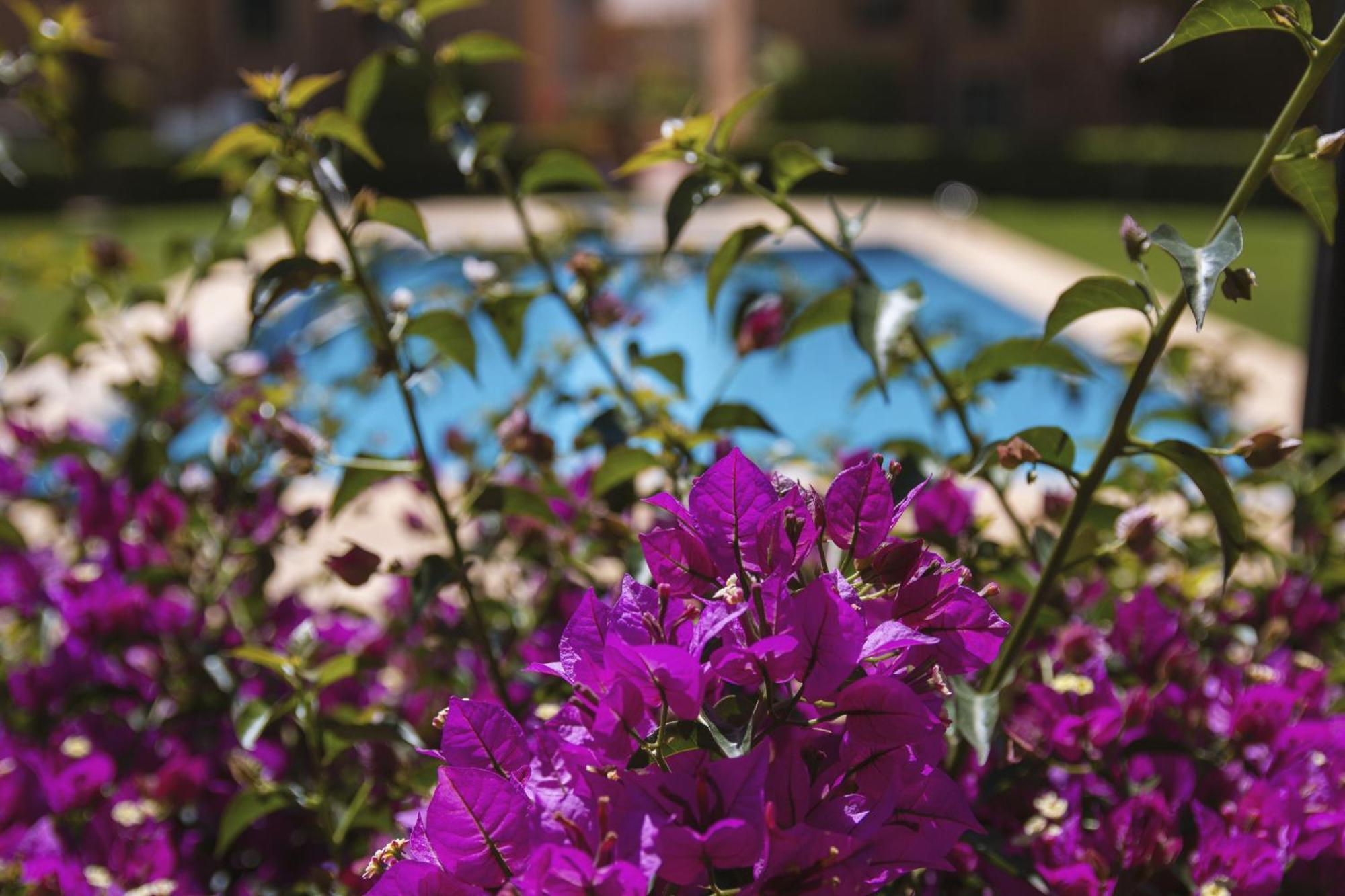 Apartament Floridamar Jávea Zewnętrze zdjęcie
